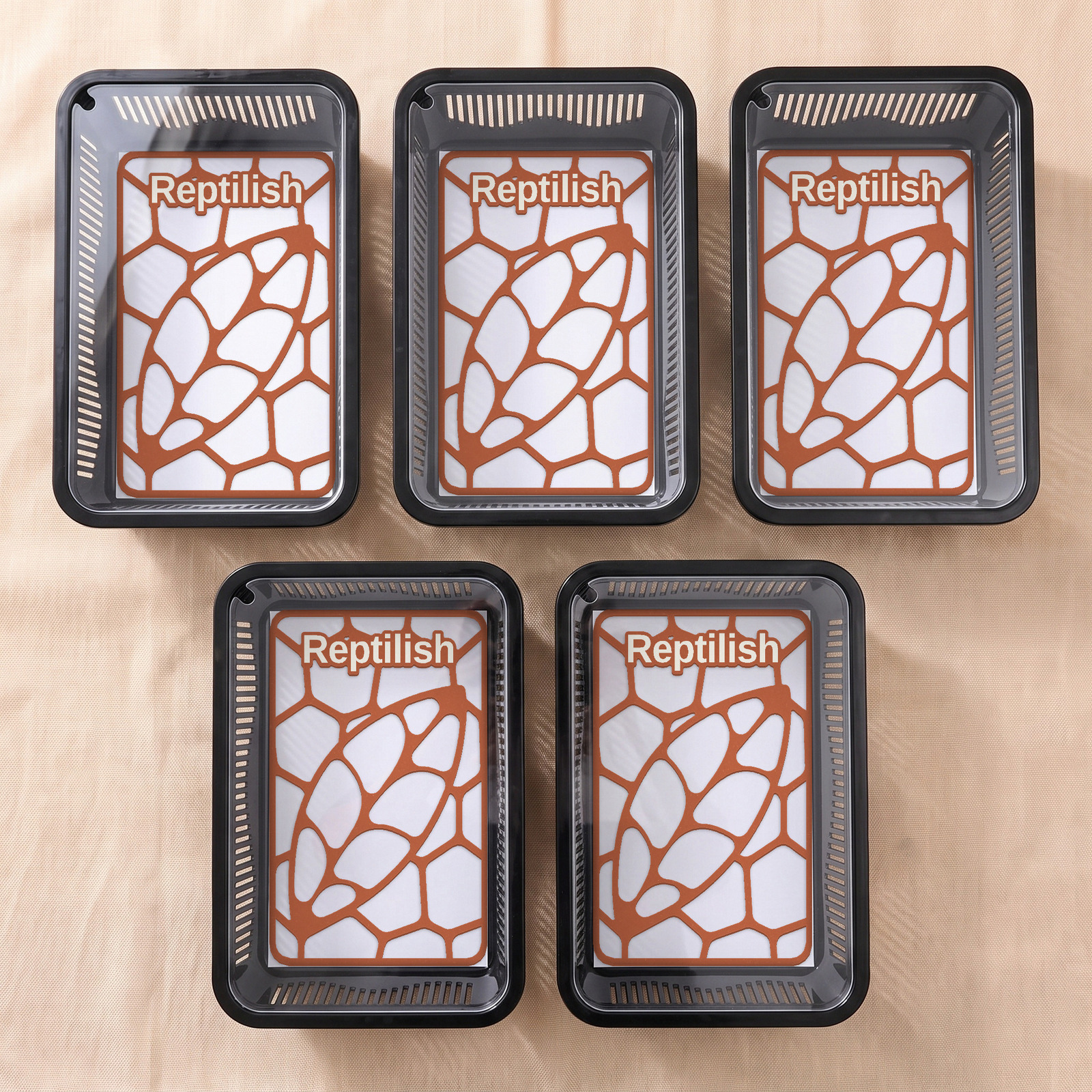Cinque faunabox neri con coperchio in acrilico trasparente, ognuno con dentro una piastra Pebble Plate rettangolare in Terracotta (vista dall'alto)