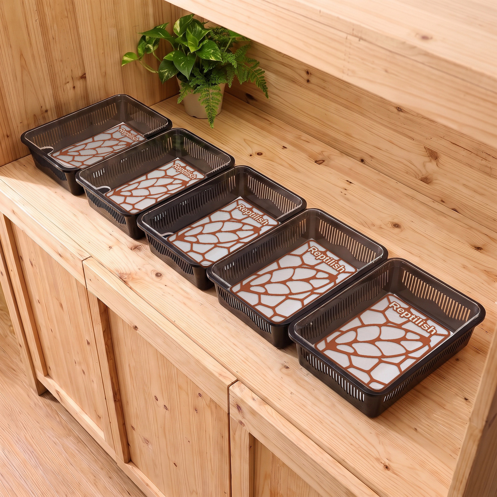 Cinque faunabox neri sullo scaffale in legno di un negozio, con dentro piastre Pebble Plate in Terracotta